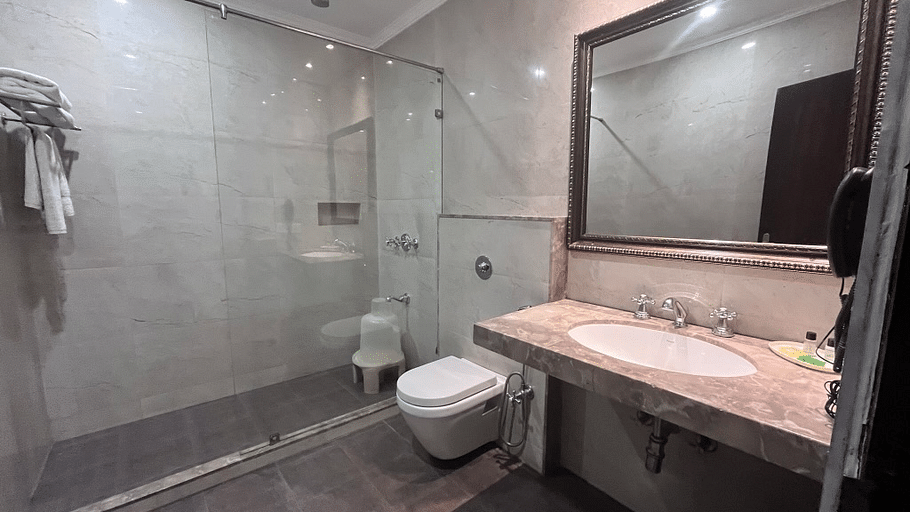 201- Toilet full view