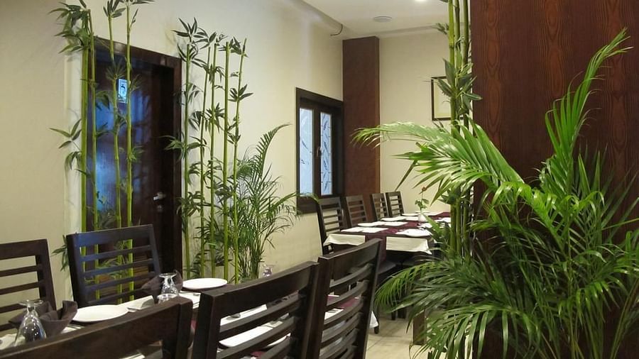 A clean and orderly restaurant interior featuring bamboo and palm plants, with set tables awaiting guests - TGI Apple Inn, Jaipur 
