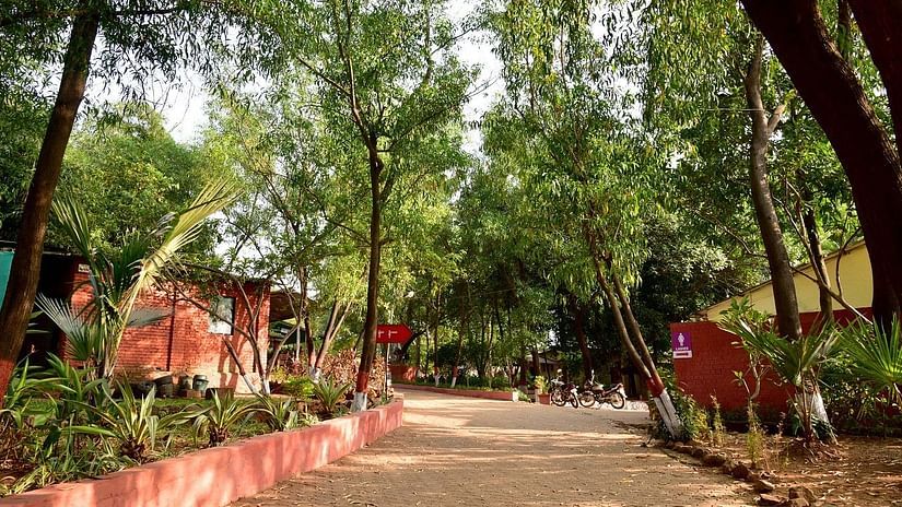 A Pathway at Nature Trails Durshet, winding through shaded forested areas with red-brick curbs and serene natural surroundings.
