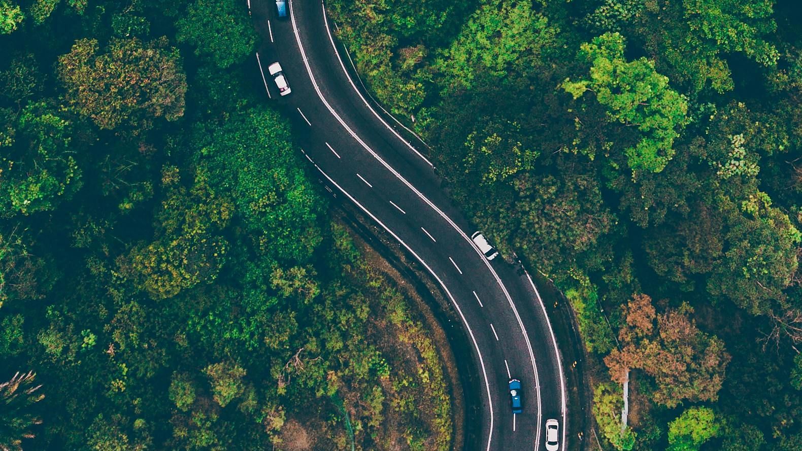 Aerial view of a winding road cutting through a lush green forest.