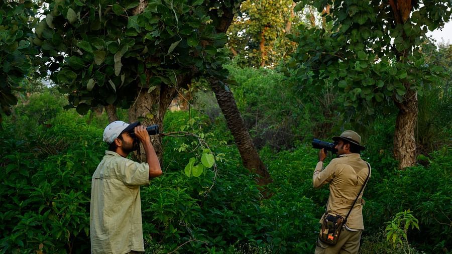 An image of two man walking through a green forest - Utsav Camp Sariska
