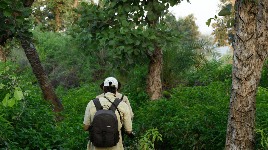 Two naturalist walking along a narrow forest path surrounded by lush greenery during a wilderness exploration near Utsav Camp Sariska.