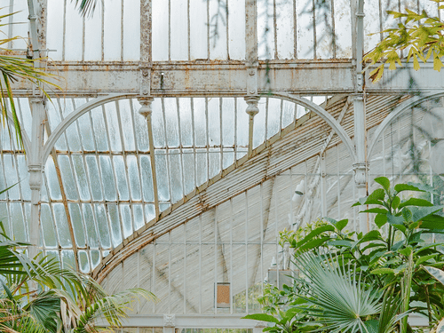 A greenhouse-style space with plants, hanging vines, chairs, and glass structure allowing natural light inside.