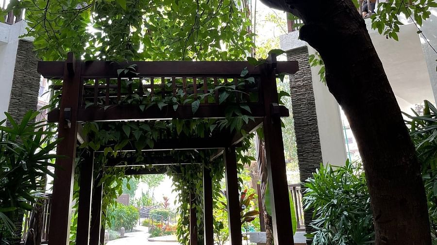 Lush walkway lined with wooden pillars - Rhythm Lonavala