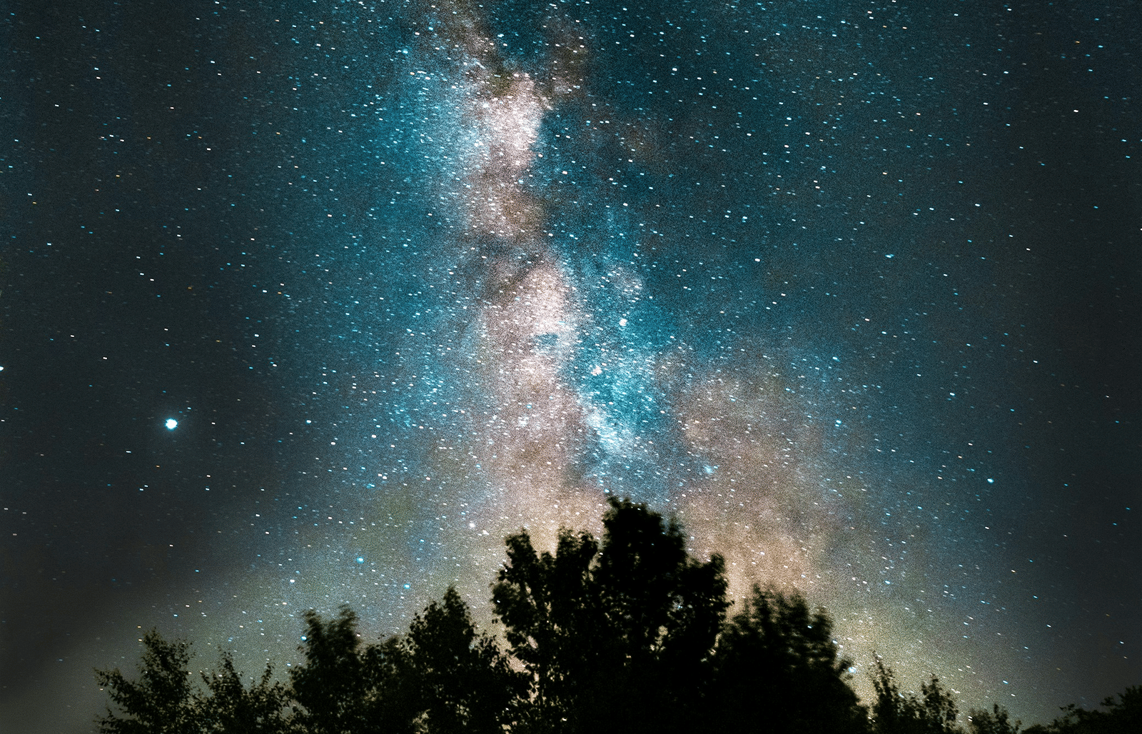 A spectacular view of the starry night sky with the Milky Way galaxy visible above a silhouetted tree line.