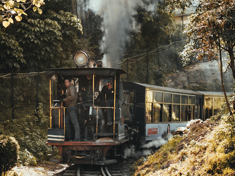 Steam locomotive of Toy Train passing through lush greenery, one of the things to experience in Darjeeling in December