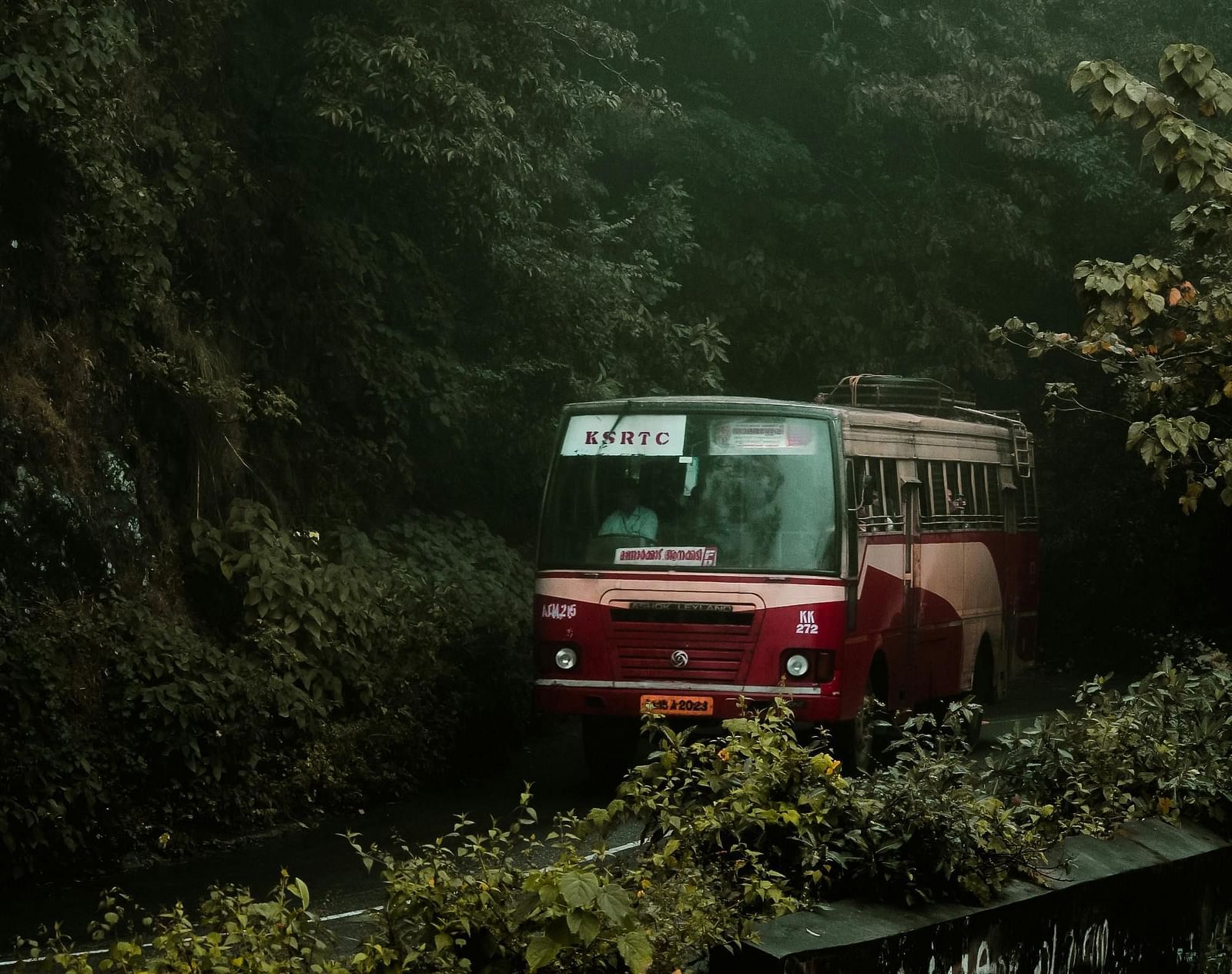 A red bus travelling through a lush green forest.