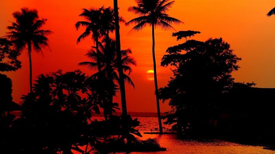 Reddish-orange sunset view - Rhythm Kumarakom