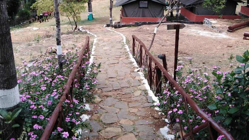 Let s Camp Yercaud tents 2