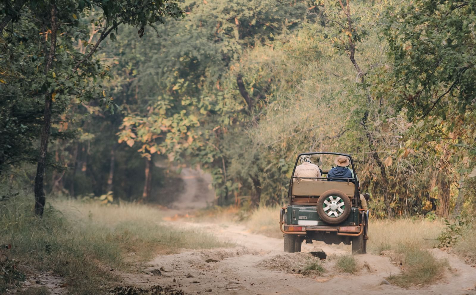 A Jeep travelling on a mud road on a safari ride at Trees N Tigers, Tadoba.