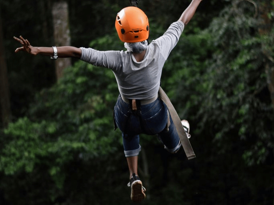 pexels-workman-28263612