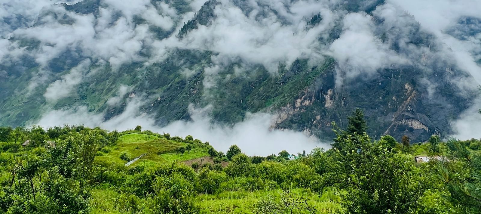 Image of fog covering the mountains | Faraway Cottages, Auli