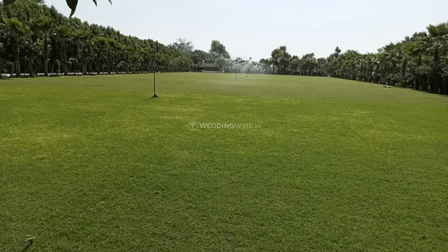 A wide, empty green field is surrounded by trees.