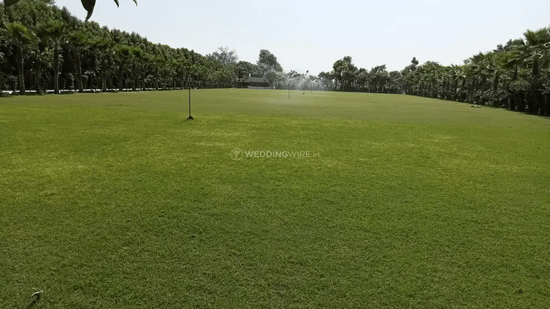 A wide, empty green field is surrounded by trees.