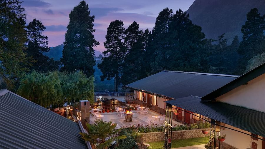 An outdoor setting with lush greenery and night time 