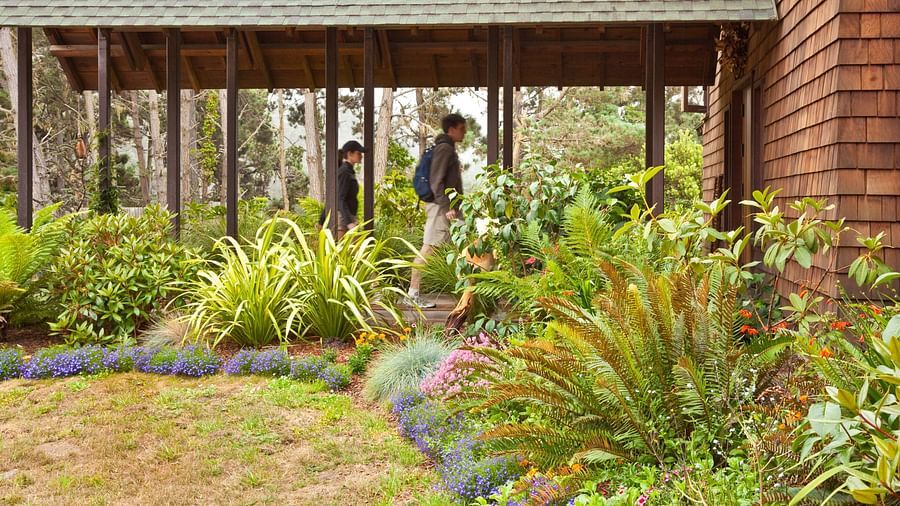 A shaded outdoor patio with lush landscaping with guests walking behind it - Brewery Gulch Inn & Spa