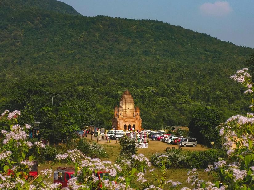 a temple visible over flowers with cars around with a hill in the background.