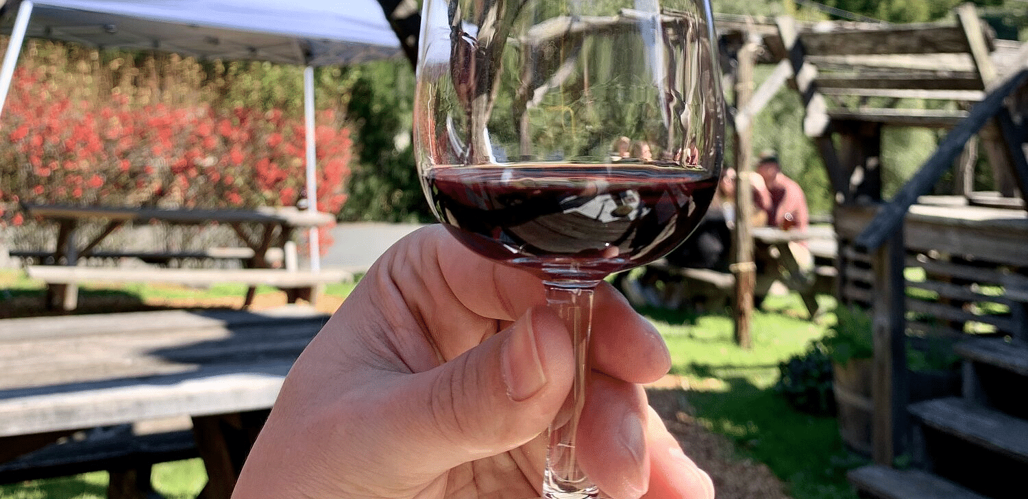 An image of a person holding a glass of wine on a vineyard