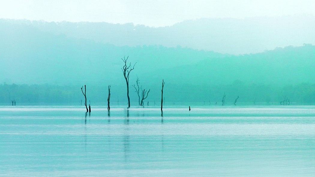 kabini