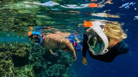 Two people snorkelling underwater deep in the ocean surrounded by fauna and flora.
