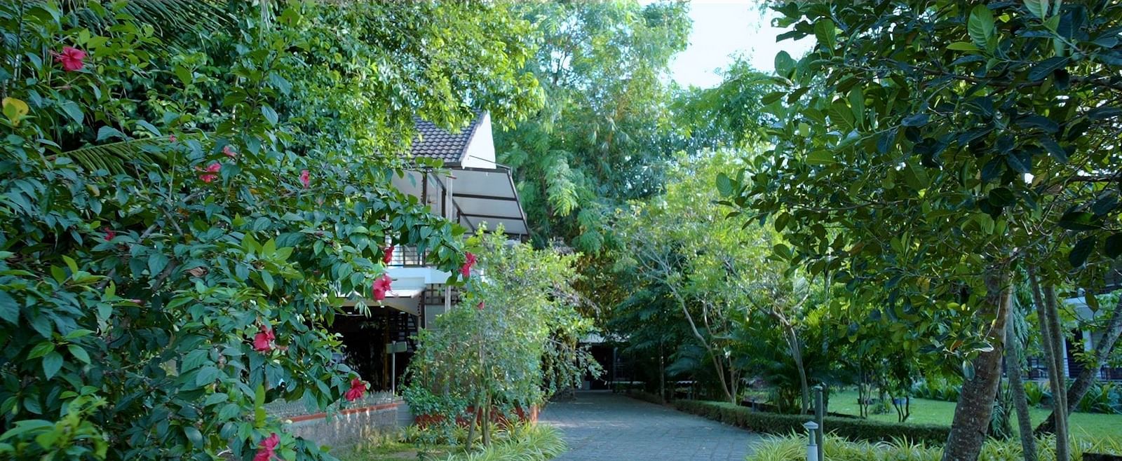 A paved pathway leads toward a building nestled among lush green trees and flowering bushes.