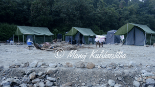 Green camping tents set up on 1 rocky riverbank backed by a lush forest hillside.