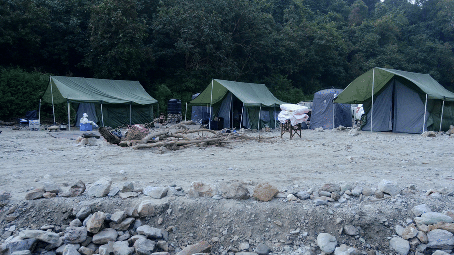 A row of green safari-style tents set up on a sandy bank in front of a dense forest.