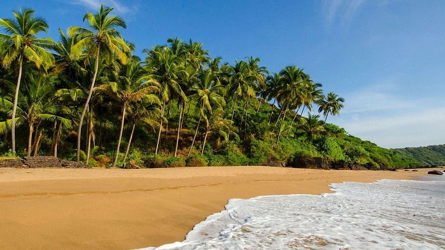 An image of a beach where waves are touching the shore and at the end there is palm trees