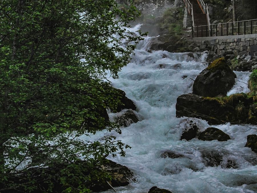 Waterfall flowing through a rapid pace with a guarded stairs in the distance and a tree bending down.