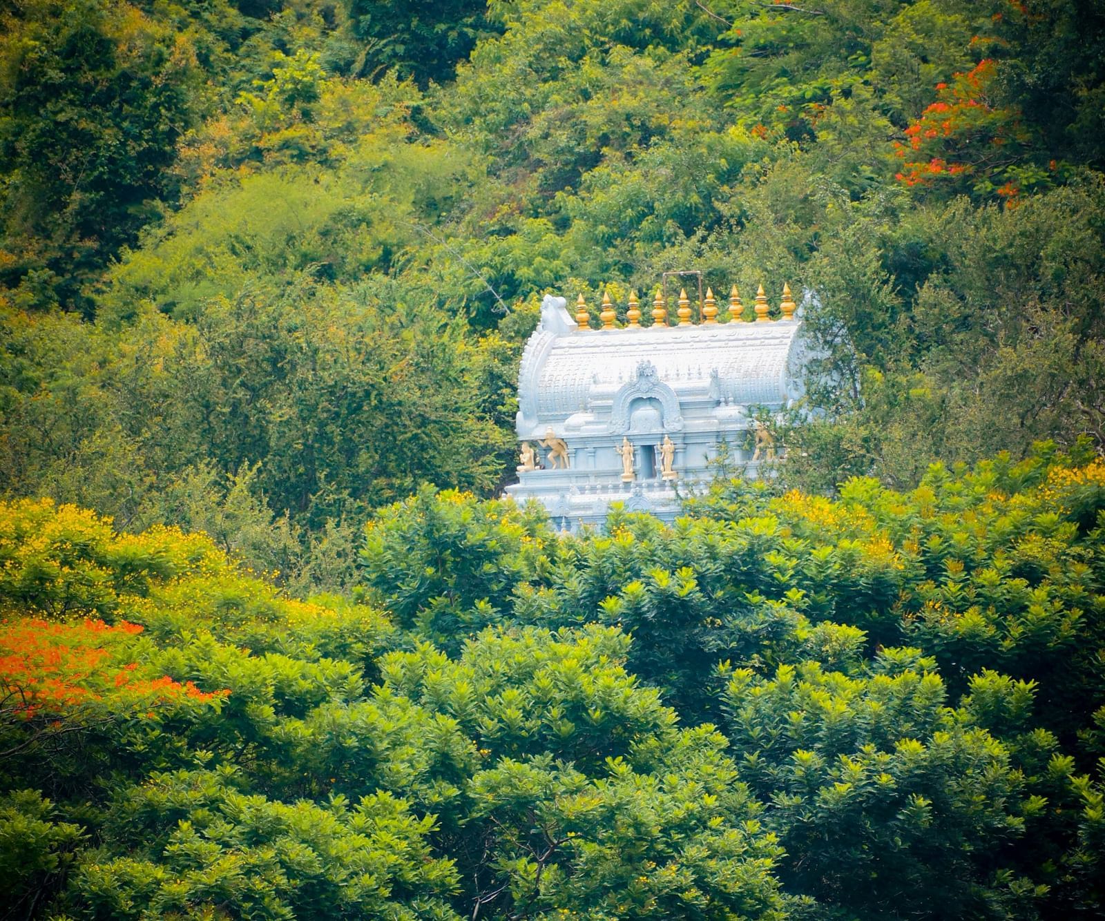A far out view of a temple that is covered by trees in Tirupati