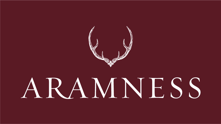 TNB3479 Aramness stackedlogo RGB ox BLOG-01