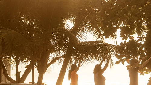 a view of palm trees near our hotel in Galle