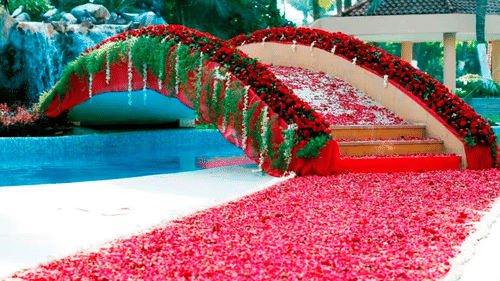 A red carpet with scattered rose petals leading to a bridge, flanked by water features on both sides.