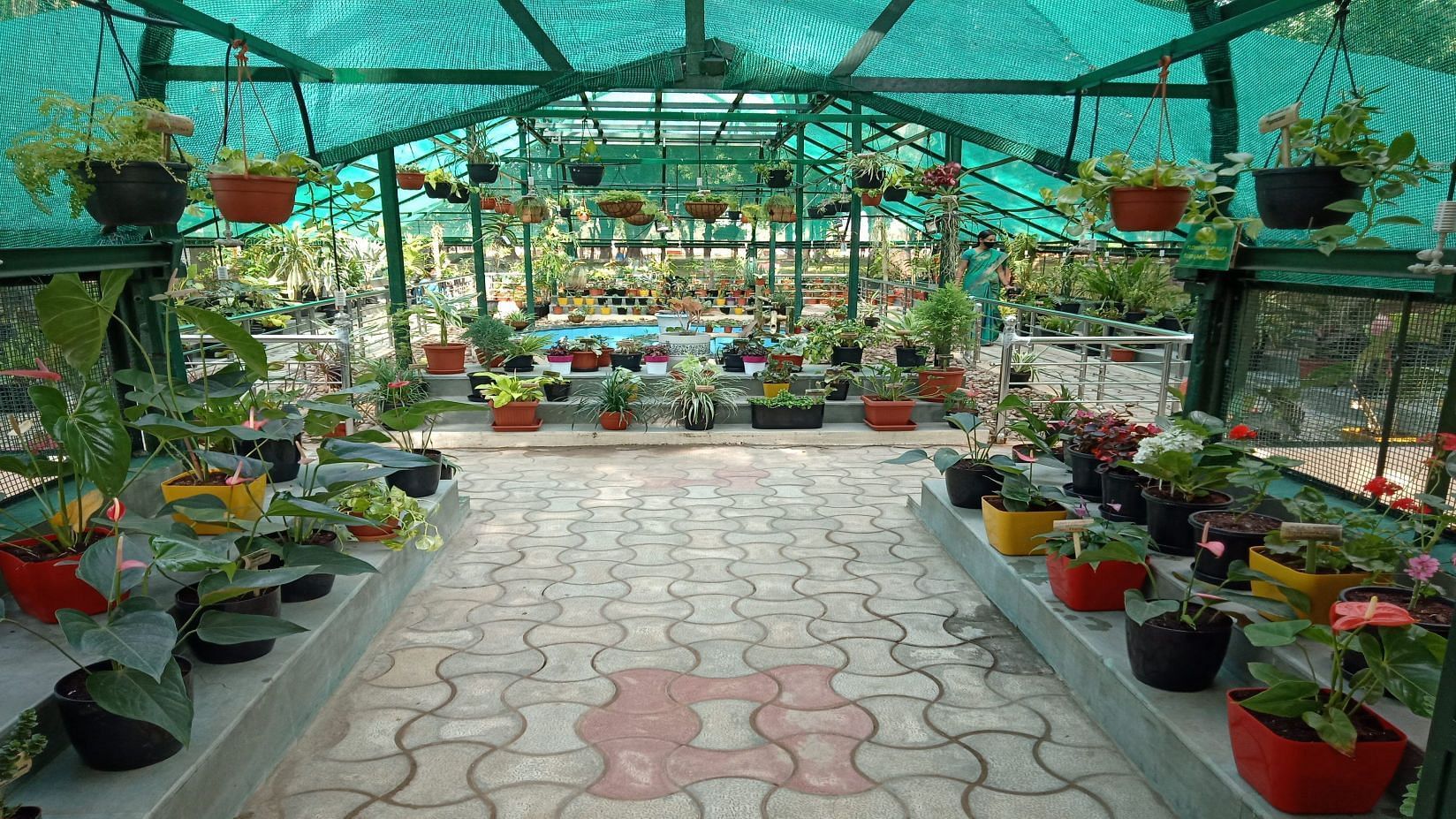 An indoor plant nursery or greenhouse with rows of potted plants and a translucent roof.