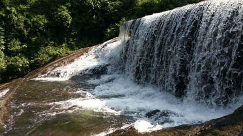 A wide shot of a waterfall surrounded by dense vegetation.