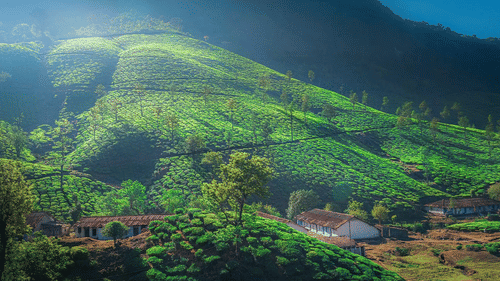 A vibrant green hilly landscape with a few buildings.