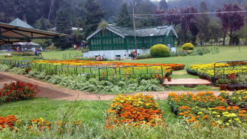 Beautifully maintained garden with vibrant flowers and lawns at Black Thunder Water Theme Park.