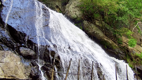  A close up view of a Monkey Falls, cascading on rocks, with small shrubs next to it.