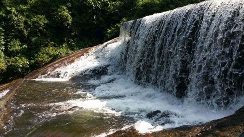 A wide shot of a waterfall surrounded by dense vegetation.