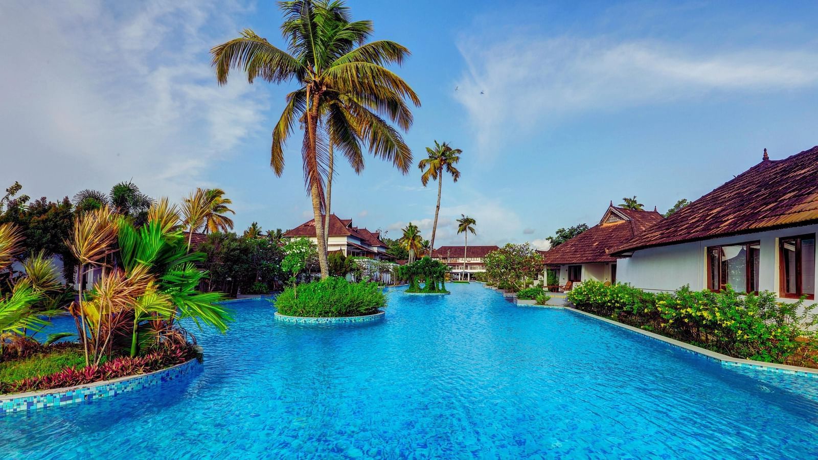 an image of coconut trees arranged in the centre of the pool - Rhythm Kumarakom