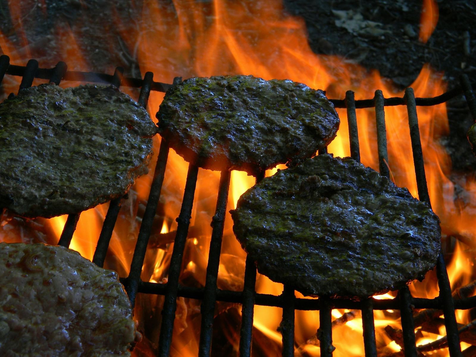 A close up of four galouti kebabs being grilled on top of a charcoal fire.