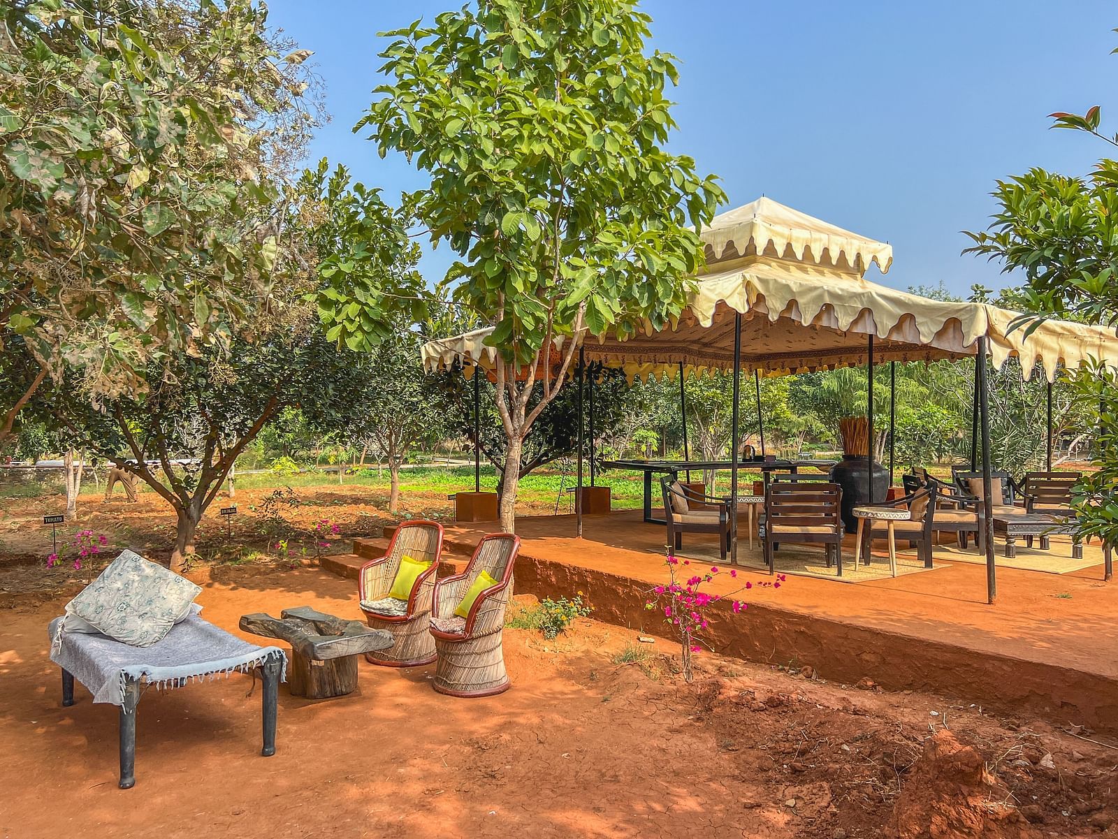An image of an outdoor seating arrangement with trees surrounding the area - Utsav Camp Sariska