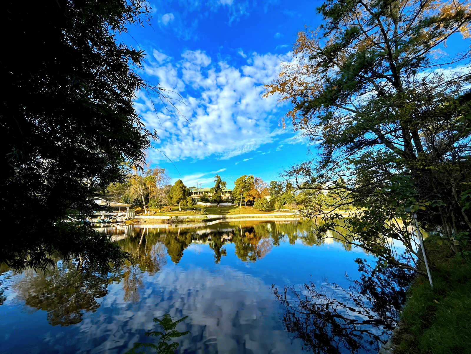 Wards Lake Image
