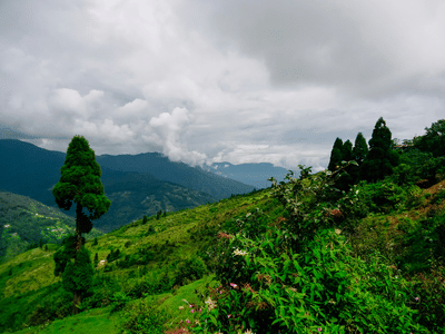 Scenic view of a person walking through lush green hills under a cloudy sky