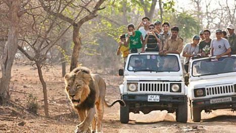 Bannerghatta-National-Park-lion-safari, Davanam Sarovar Portico Bangalore