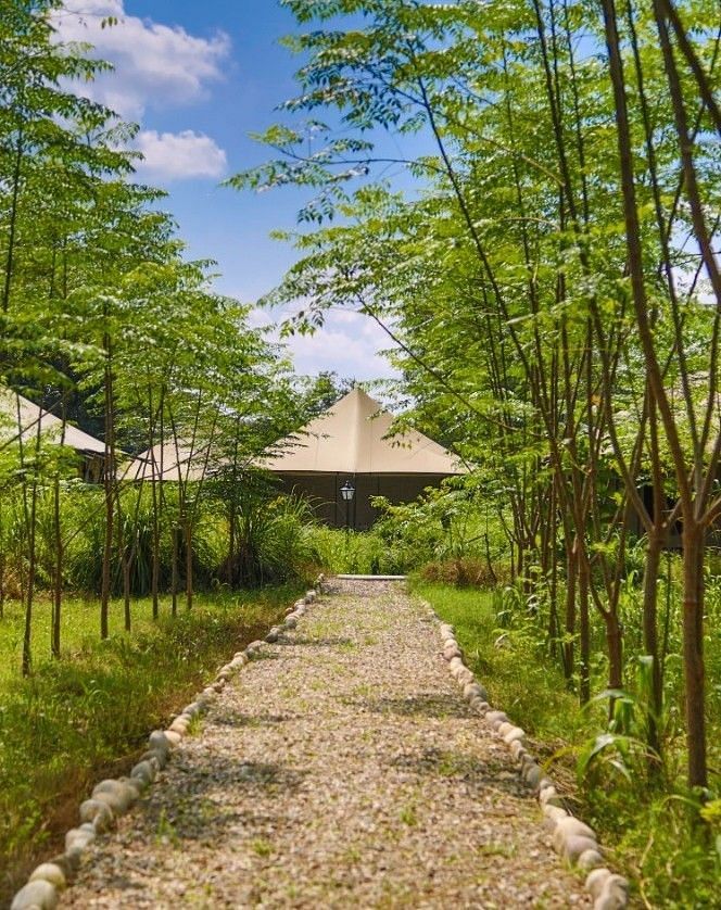 image of a stone pathway at the Aalia Jungle retreat and spa, Haridwar