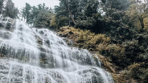 Bear Shola Falls near our hotel in Tamil Nadu 