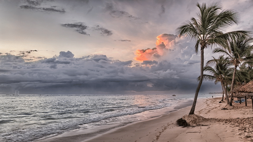 A beach with waves, a cloudy sky and coconut trees and thatched structures in sand.