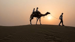 camel ride in pushkar 1