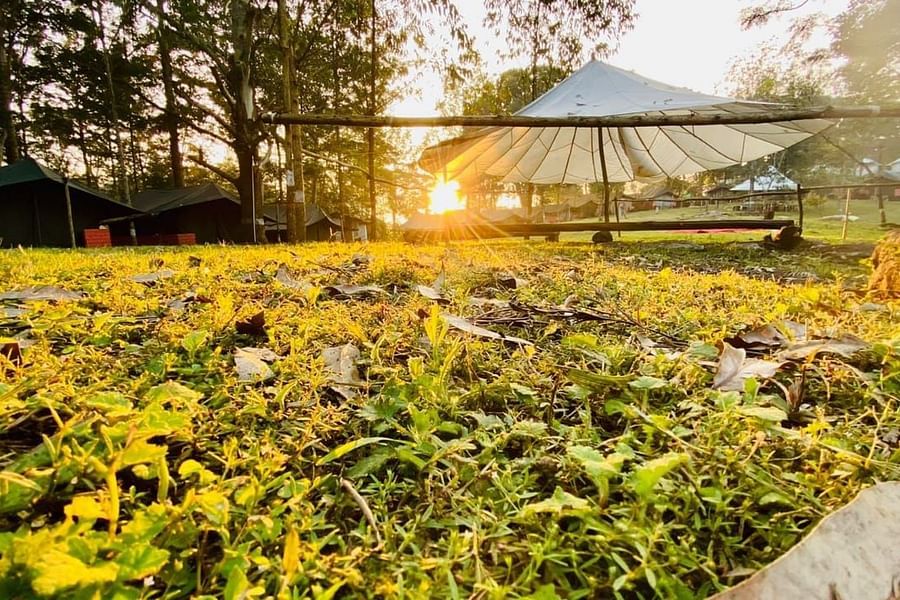 alt-text LETS Camp Yercaud guest photo 1
